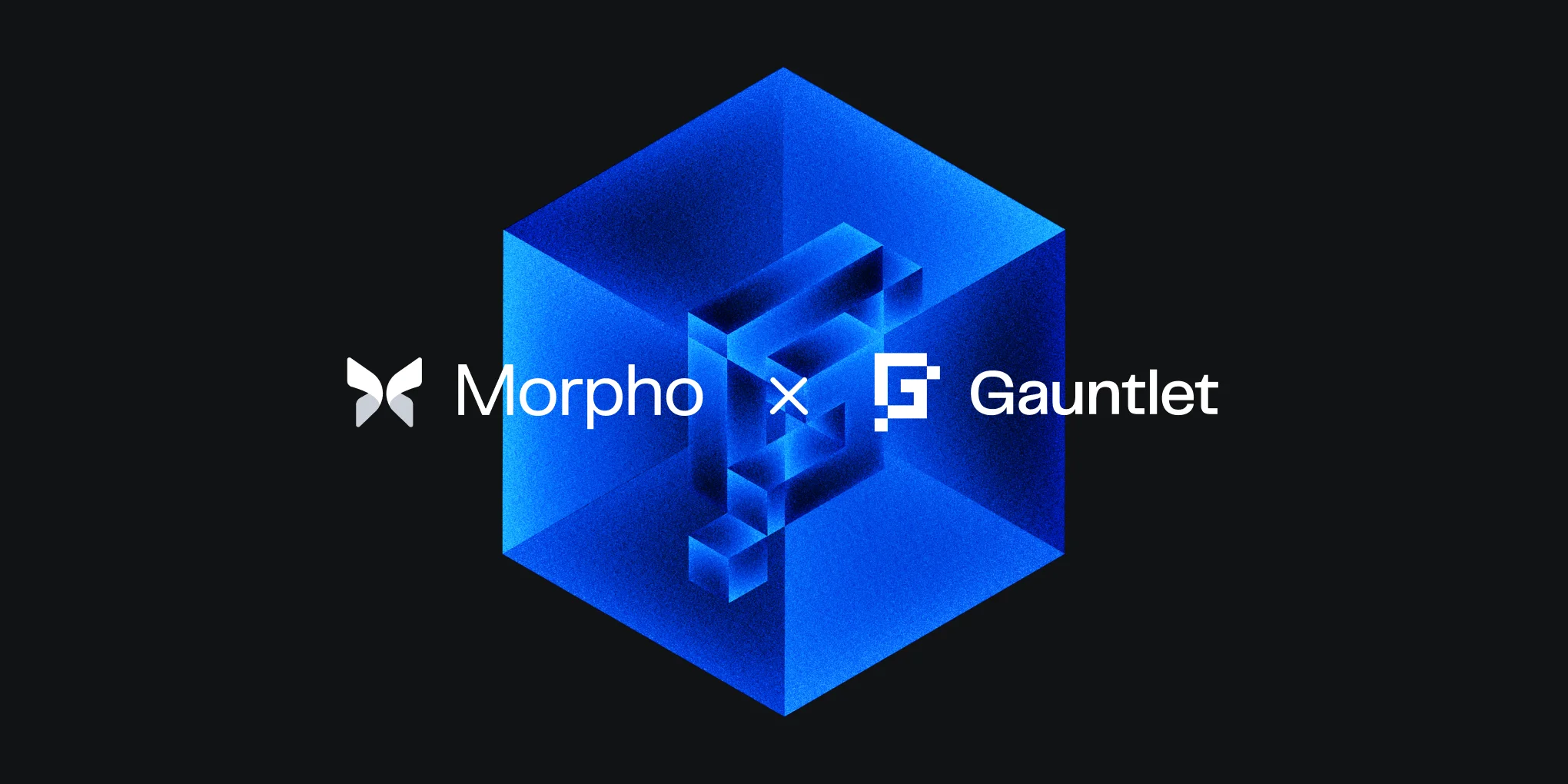Gauntlet Joins Morpho